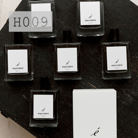 Туалетная вода для мужчин серии "EQUIVALENT" H009 Туалетная вода для мужчин серии "EQUIVALENT" H009
